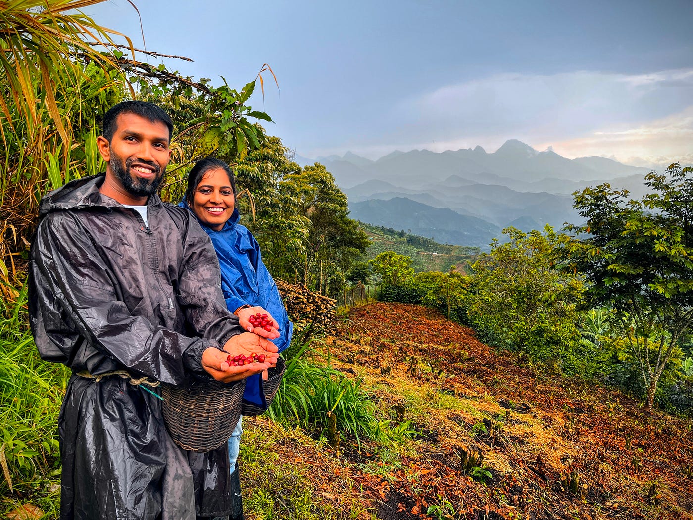 From Chikmagalur to California: The Journey of Le Mil’s Coffee