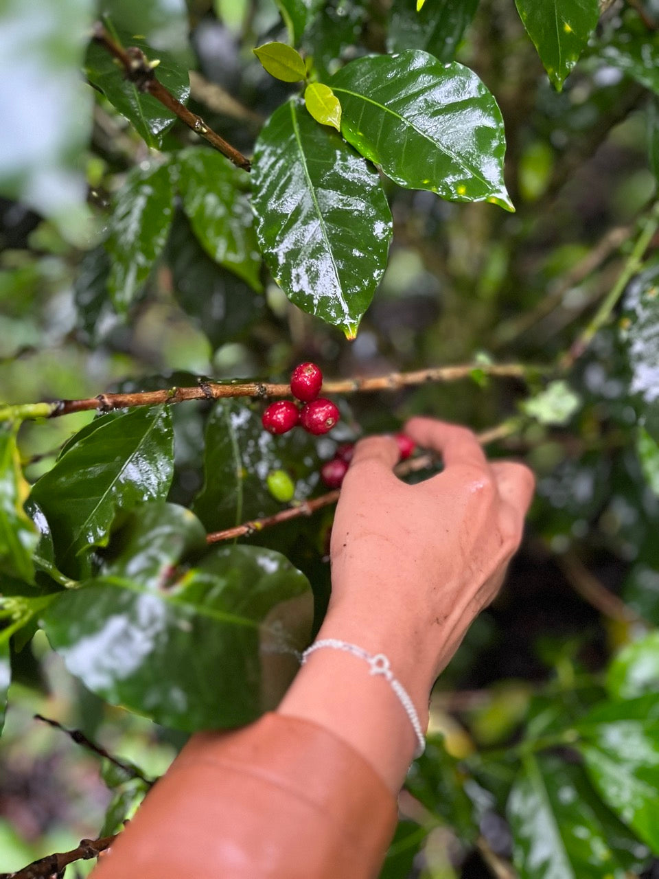 The Perfect Pairing: Coffee and Culture