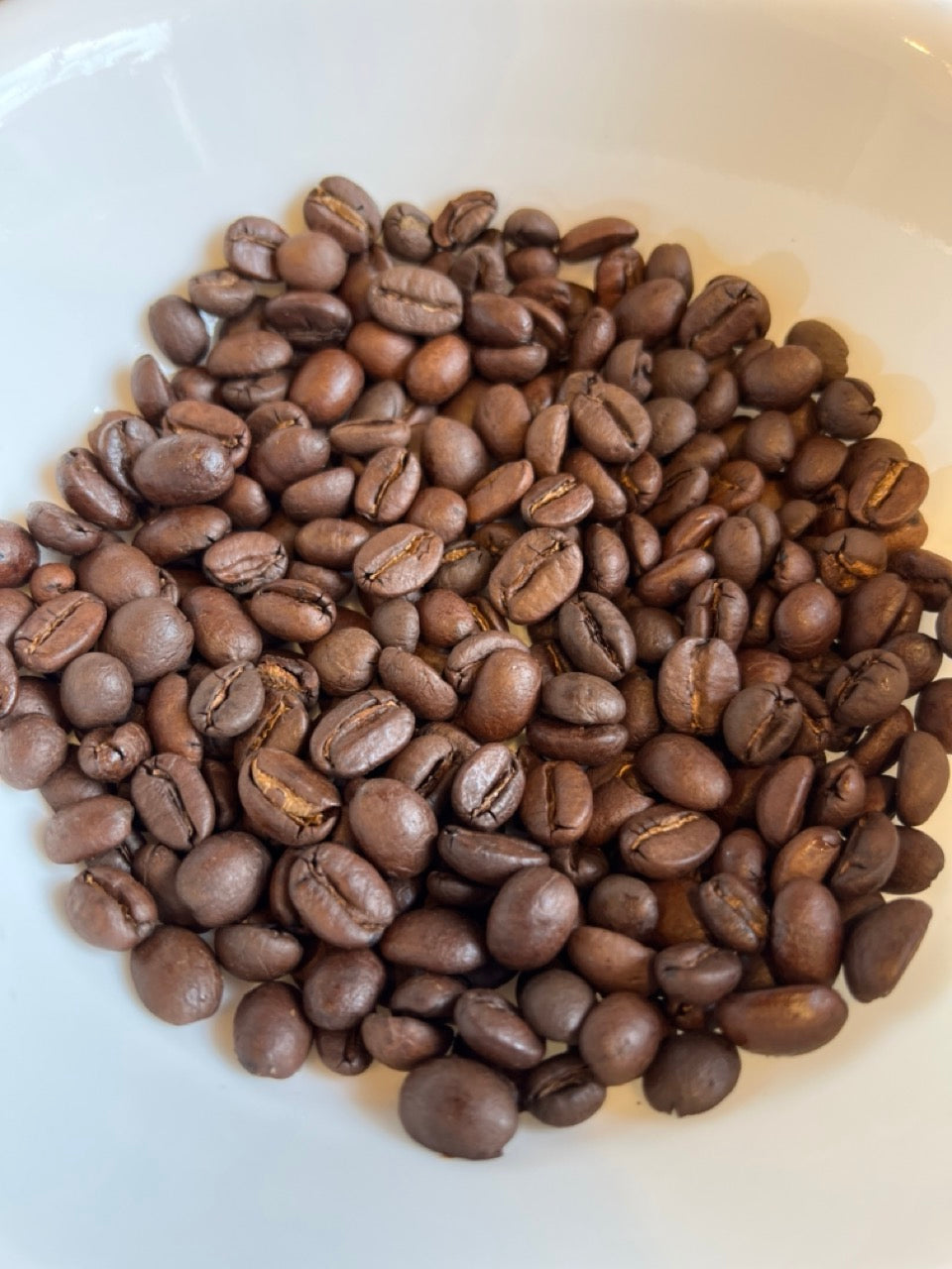 Estate Secret - Chicory Coffee Blend