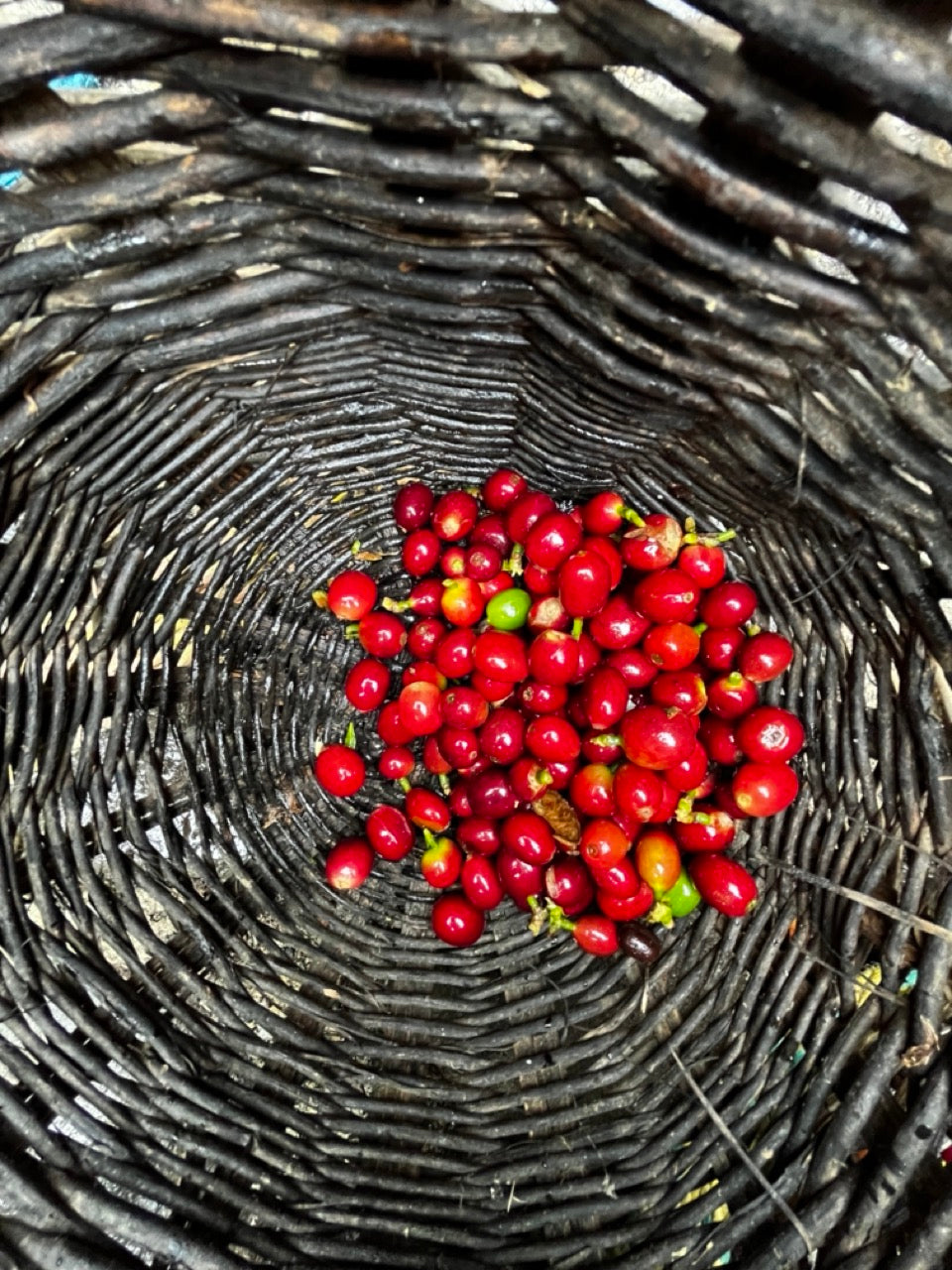 Estate Secret - Chicory Coffee Blend