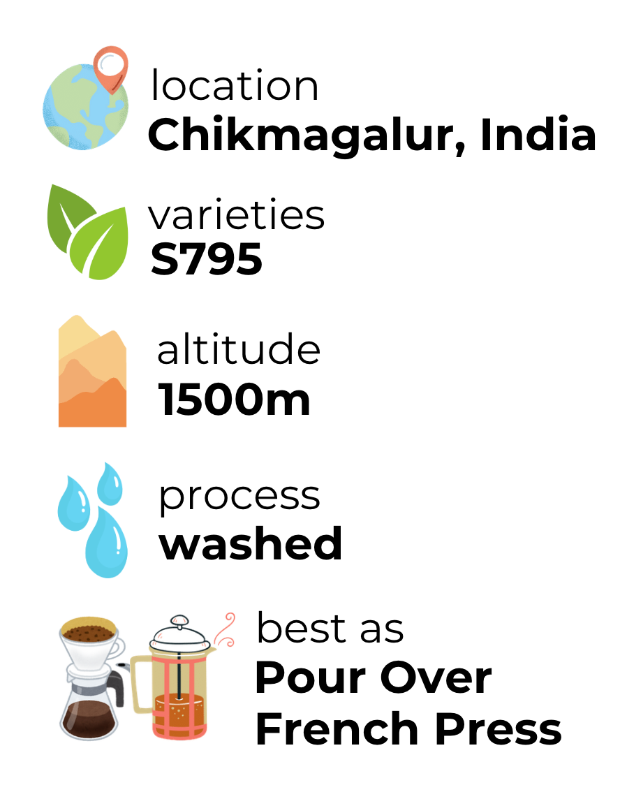 Le Mil's Premium Indian Coffee Bundle