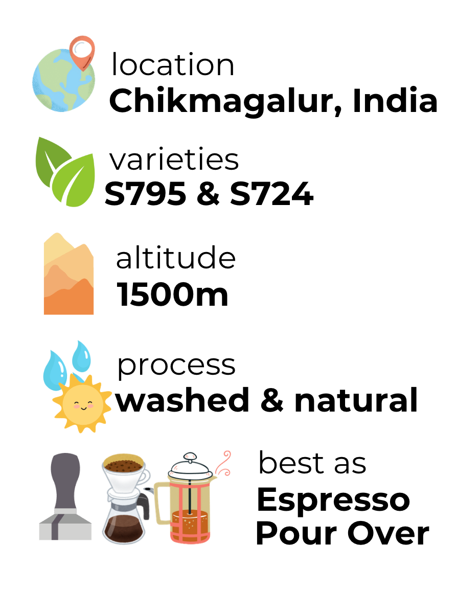 Le Mil's Espresso Blends Bundle