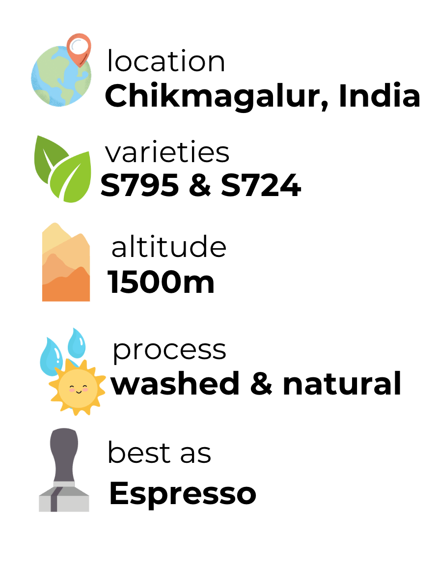 Le Mil's Premium Indian Coffee Bundle