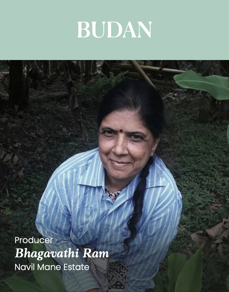 Budan - 100% Arabica