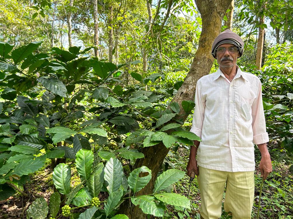 Estate Secret - Chicory Coffee Blend