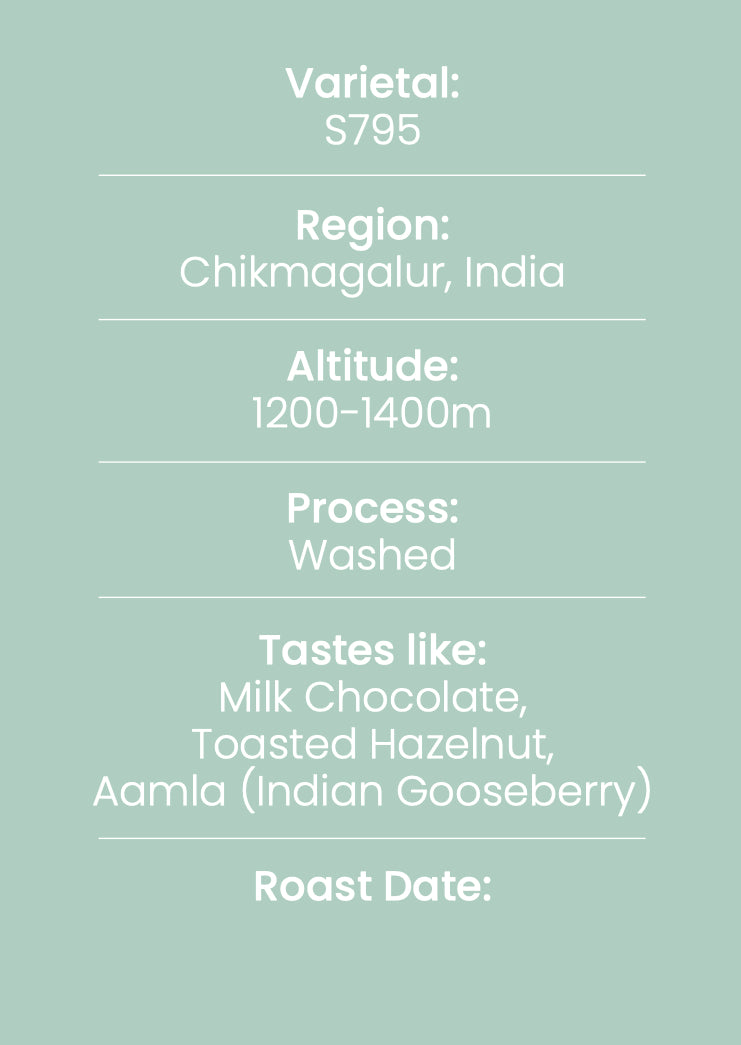 Budan - 100% Arabica