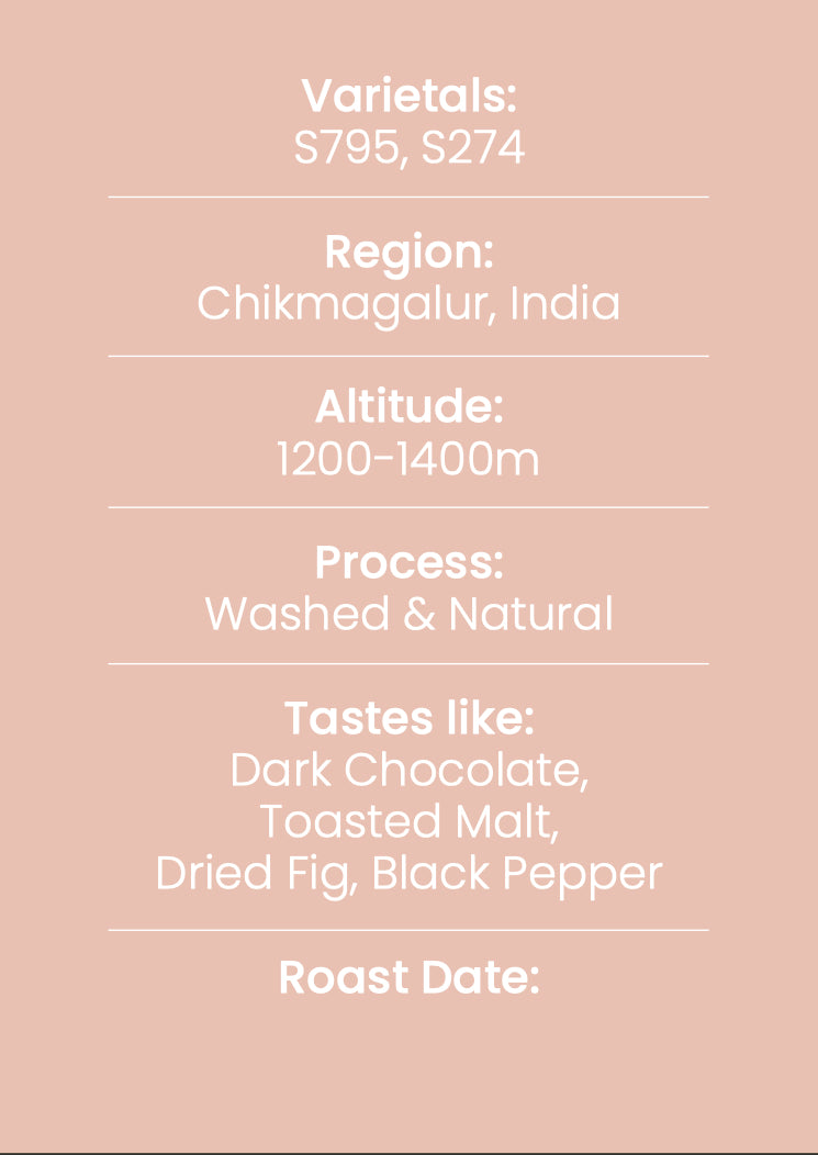 Chikka - Espresso Blend 5050
