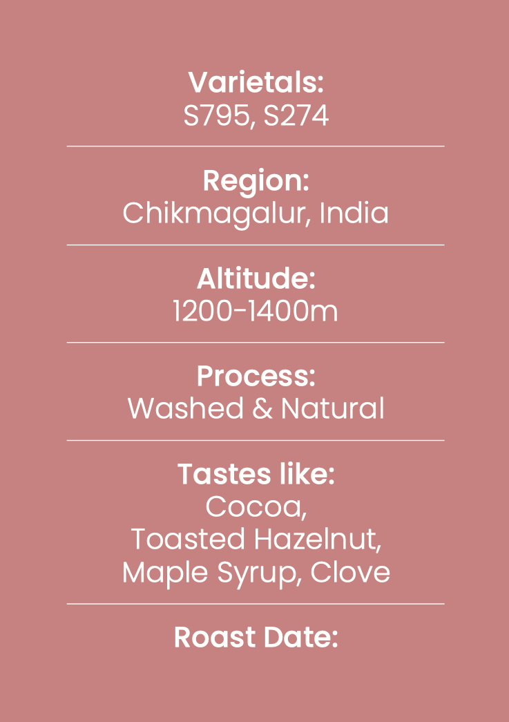 Malenad - Espresso Blend 8020